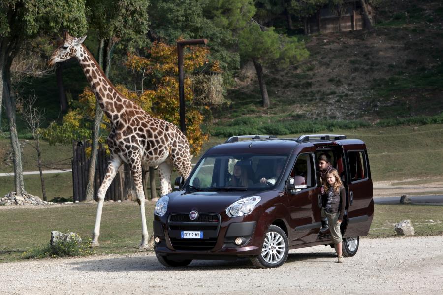  Fiat Doblo (263) 2010 года  (фото 10 из 40)